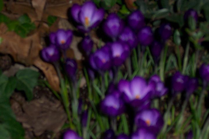 L_W 049.jpg